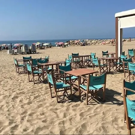 La Casa Del Mamut - *